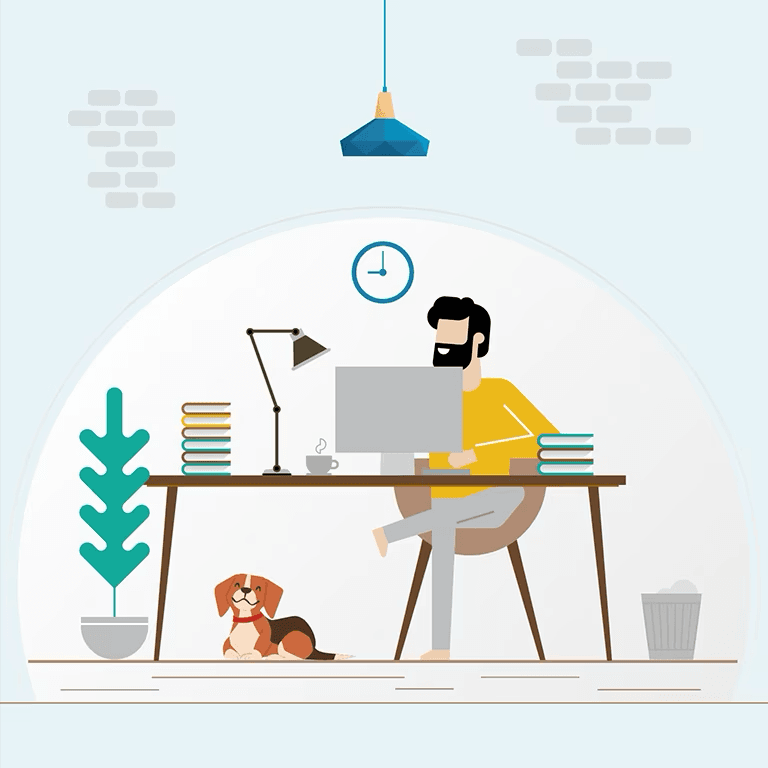 Full Stack Developer